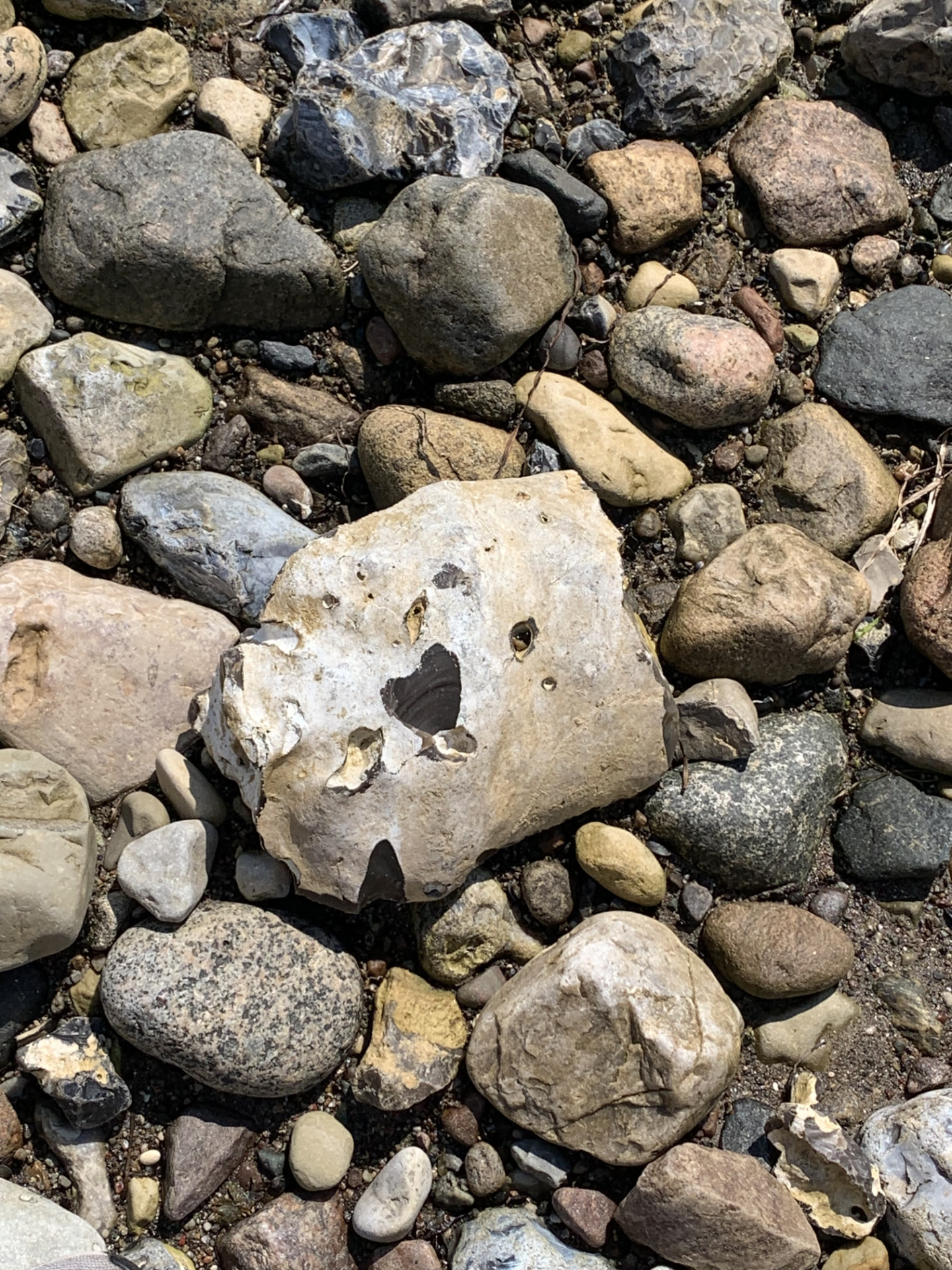Sten på stranden med et naturligt hjerteformet hul